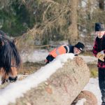 timmer-hast-nordsvensk-timmerman-fred-lagnemar-timmerhast-naturnara-hastkraft-per-madestam-220227-105443-07889-photographer-jesper-anhede-web