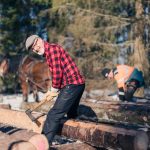 timmerdag-timring-timringskurs-ur-skogen-i-handen-fred-lagnemar-hjo-tibro-karlsborg-brannhult-bjorsjon-skaraborg-vinter-skog-hast-nordsvensk-220227-122701-07985-photographer-jesper-anhede-web